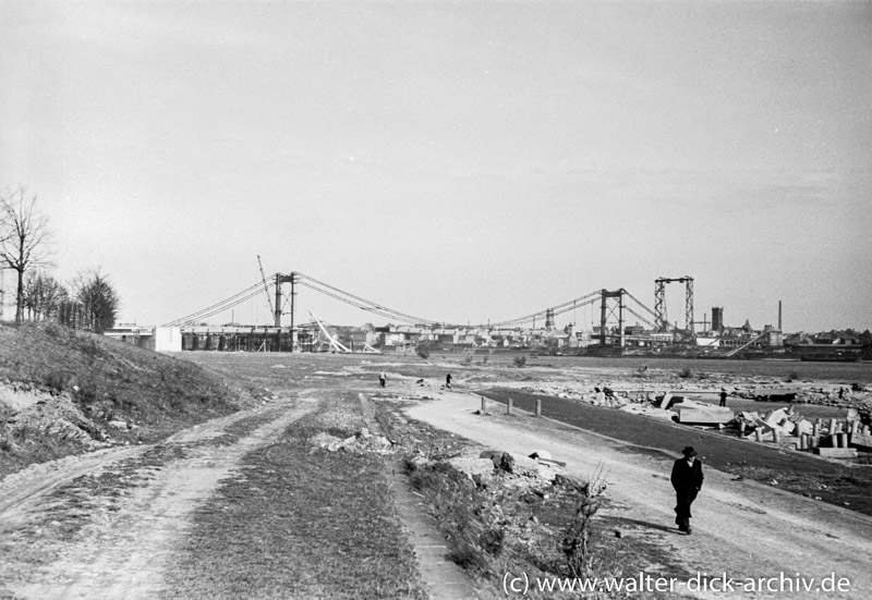 Bau der Mülheimer Brücke 1950