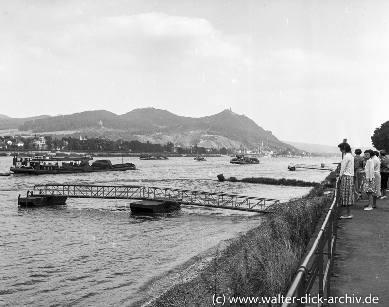 Blick Richtung Drachenfels und Königswinter 1955