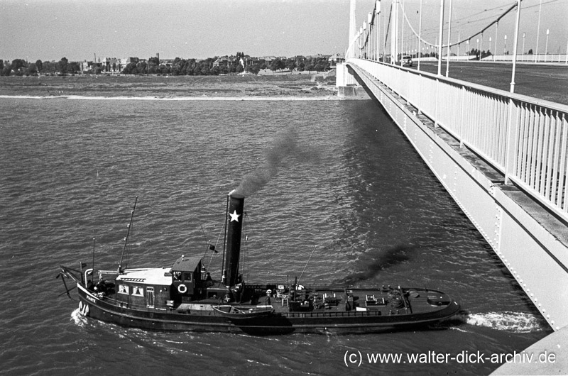 Dieselschleppboot unter der Mülheimer Brücke 1959