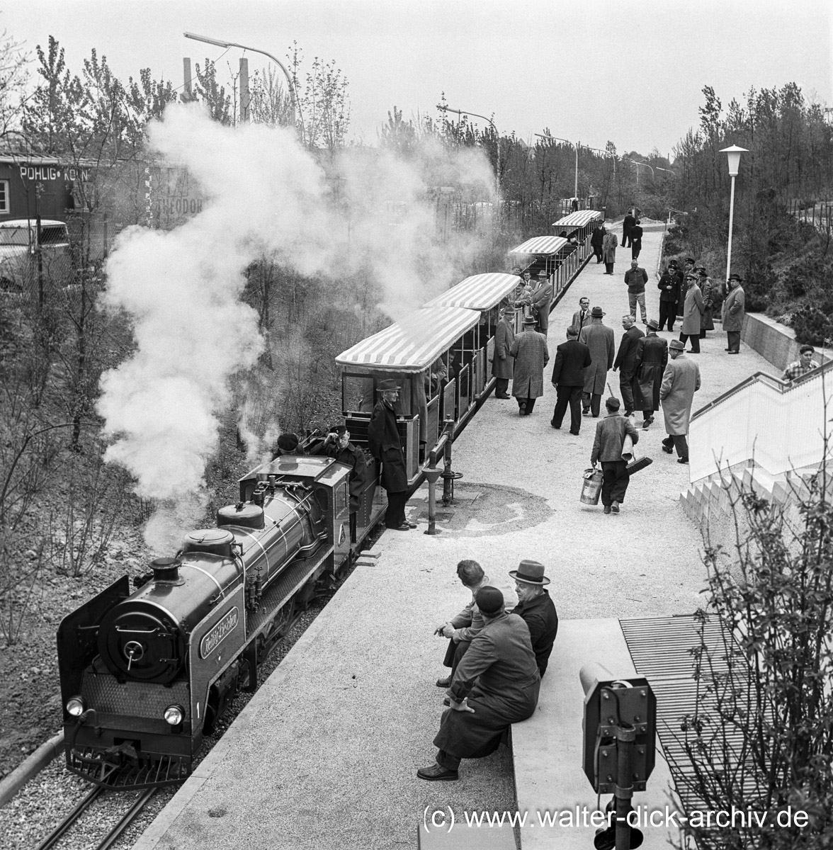 Dampftraktion im Rheinpark 1950