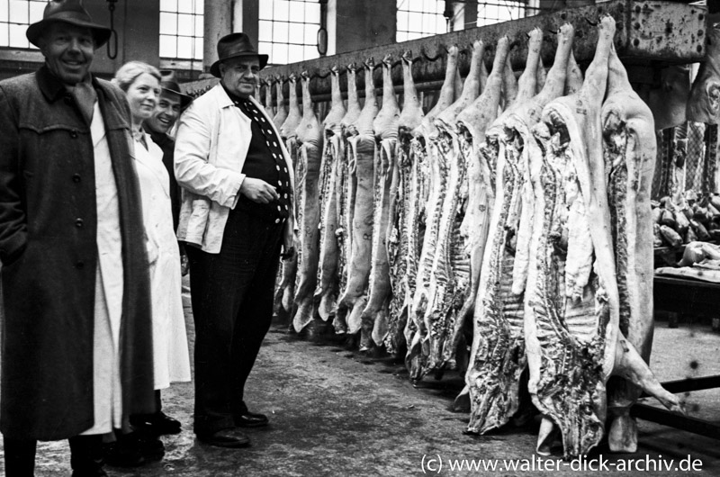 Metzger + Schweinehälften im Schlachthof Liebigstraße 1953