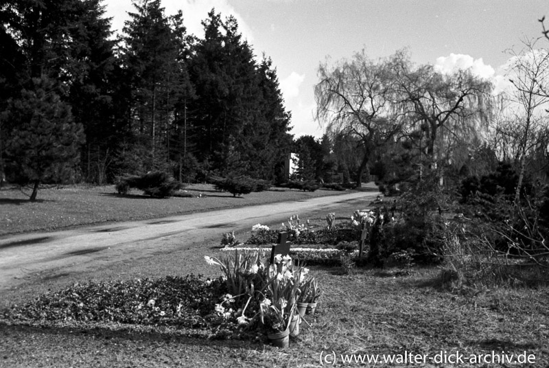 Eindrücke vom Kölner Südfriedhof 1954