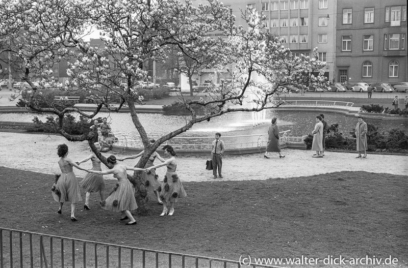 Ringelreihen am Magnolienbaum 1960
