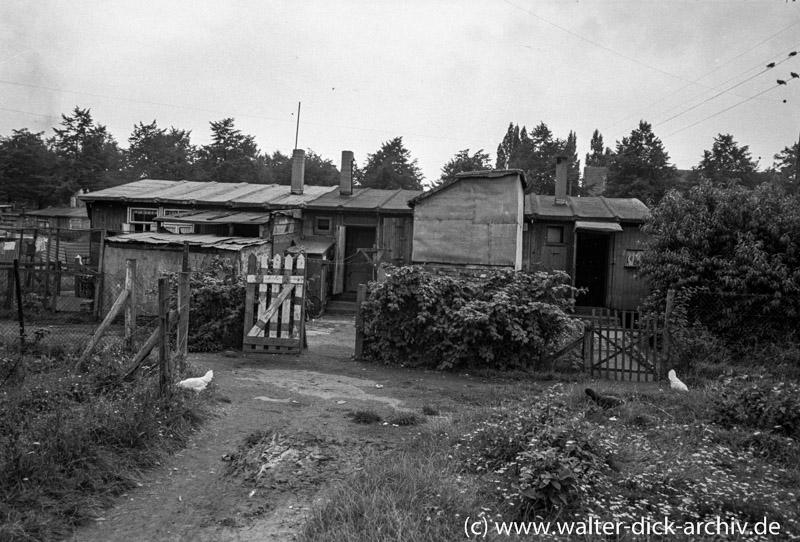 WDA528-019 Baracken als Notwohnungen 1951