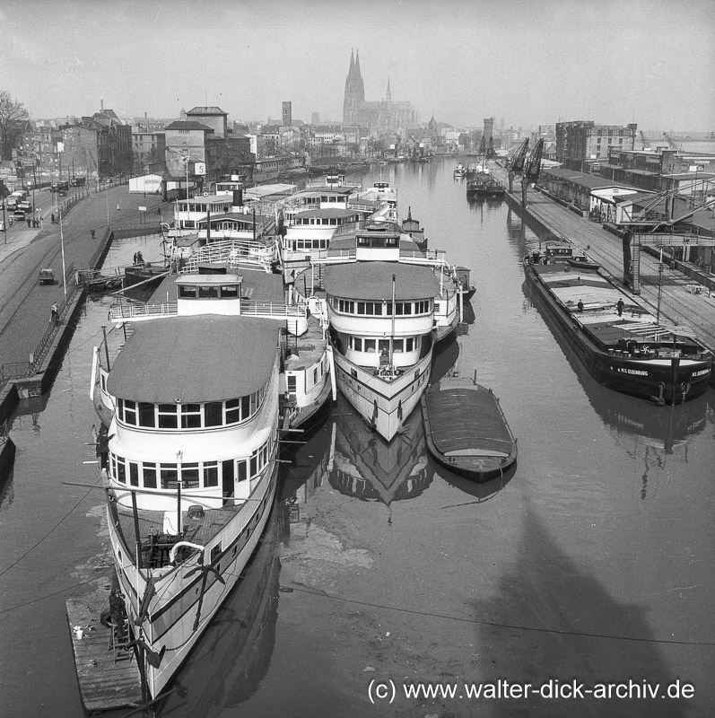 Weiße Flotte im Rheinauhafen 1955