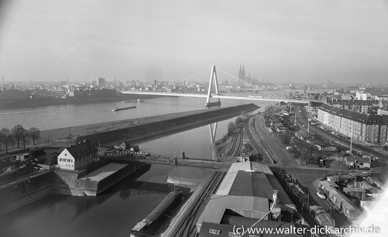 Die neue Kölner Brücke vor dem Panorama der Stadt 1959