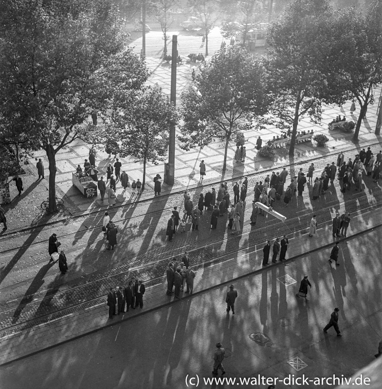 Blick auf den Neumarkt