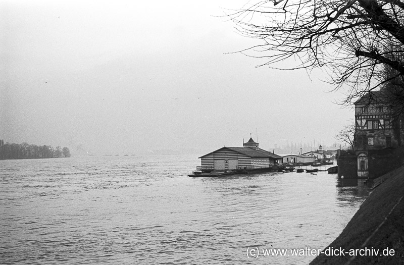 Hochwasser in Rodenkirchen 1950