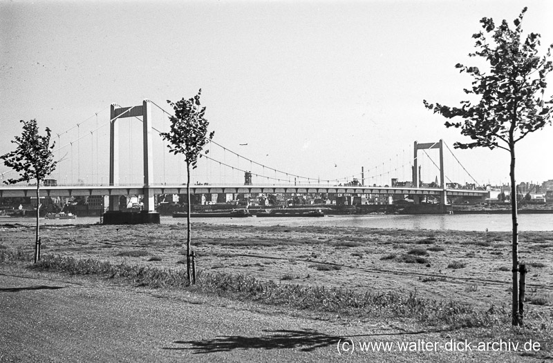 Eröffnung der Mülheimer Brücke 1951