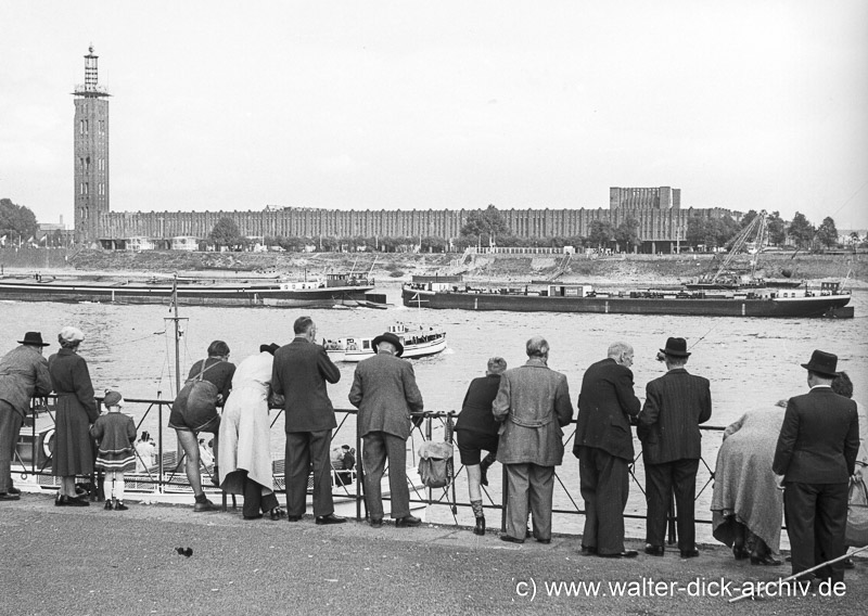 Schleppdampfer auf dem Rhein 1957