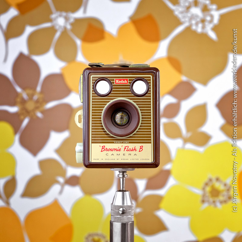 CS_brownie_flash-Cameraselfie-Novotny-Werkladen