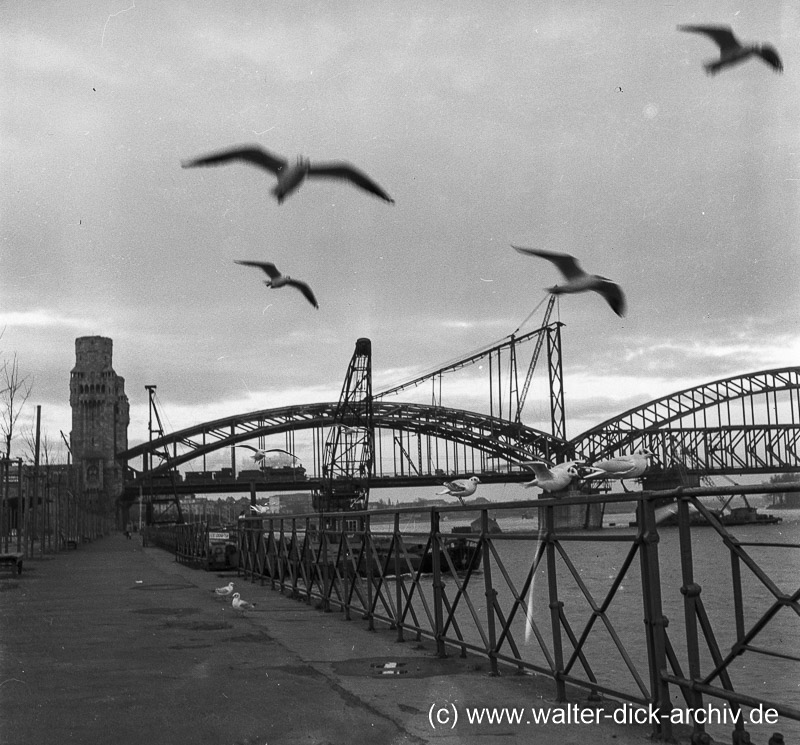 Aufbau der Hohenzollernbrücke 1952