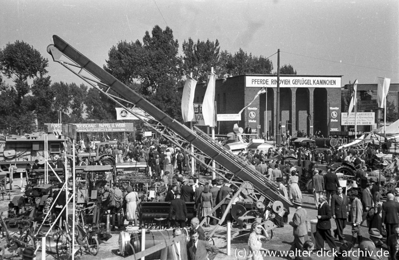 Landwirtschaftsschau in der Kölner Messe