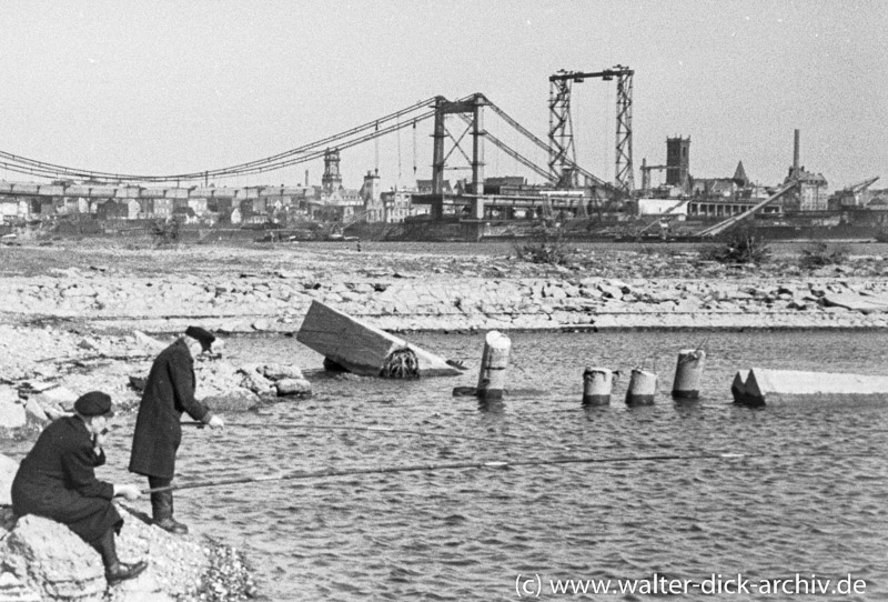 Bau der Mülheimer Brücke 1950