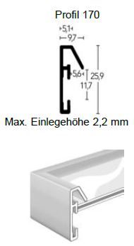 DEHA Profil 170 Alurahmen