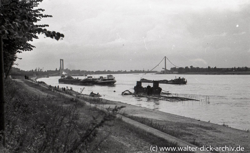 Zerstörte Rodenkirchener Brücke 1946