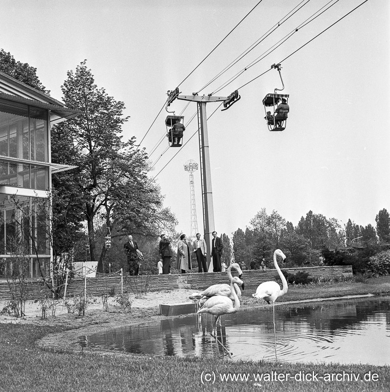 Sessellift in der Bundesgartenschau 1957