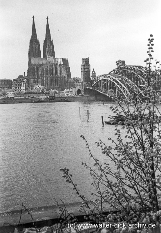 Hohenzollernbrücke und Dom 1947
