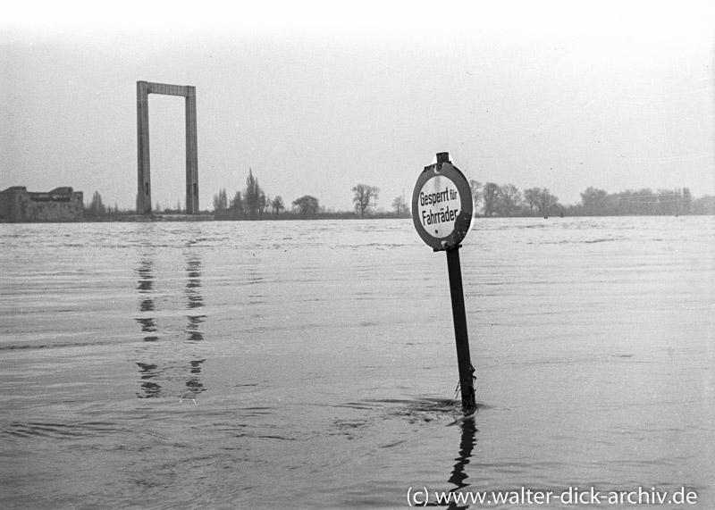 Rodenkirchener Brücke-Rechtsrheinischer Pylon