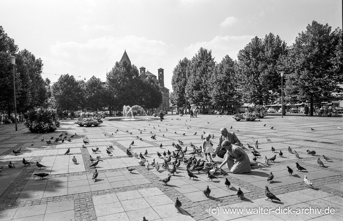 Beschaulicher Neumarkt? 1958