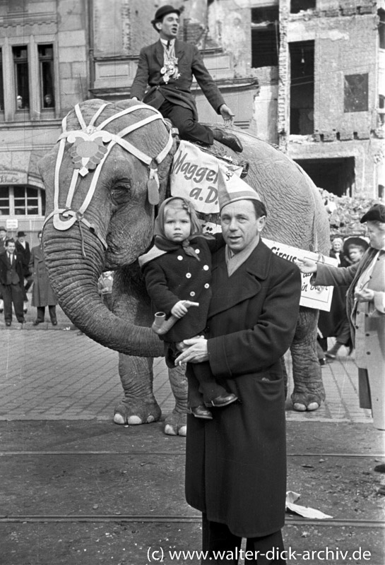 Ein Elefant im Rosenmontagszug