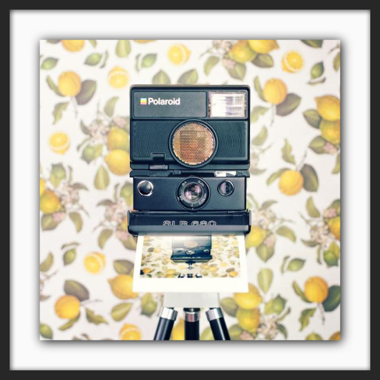 CS_polaroid_slr680_300dpi_2000-2