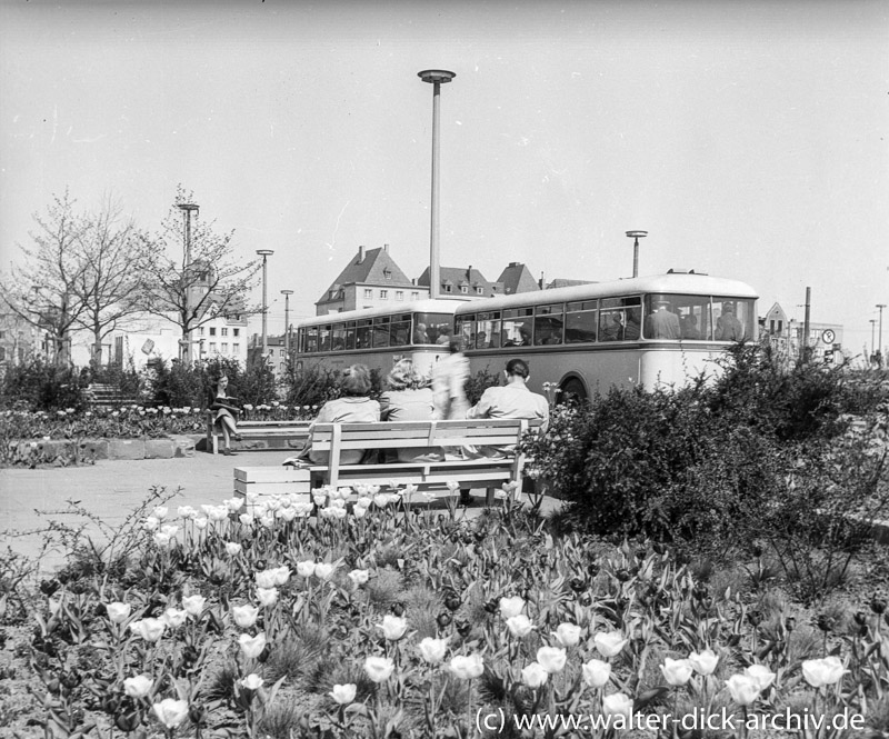 Idylle auf dem Heumarkt 1955