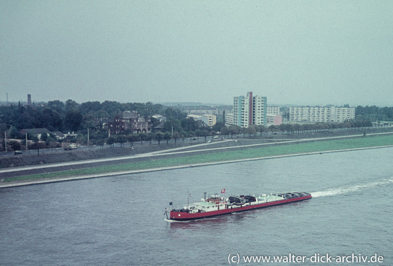 Schleppschiff auf dem Rhein 1965