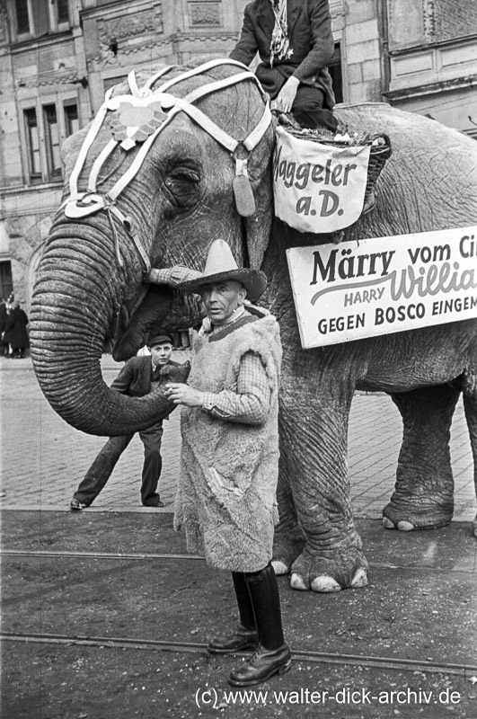Rosenmontagszug 1949-Elefant Märry