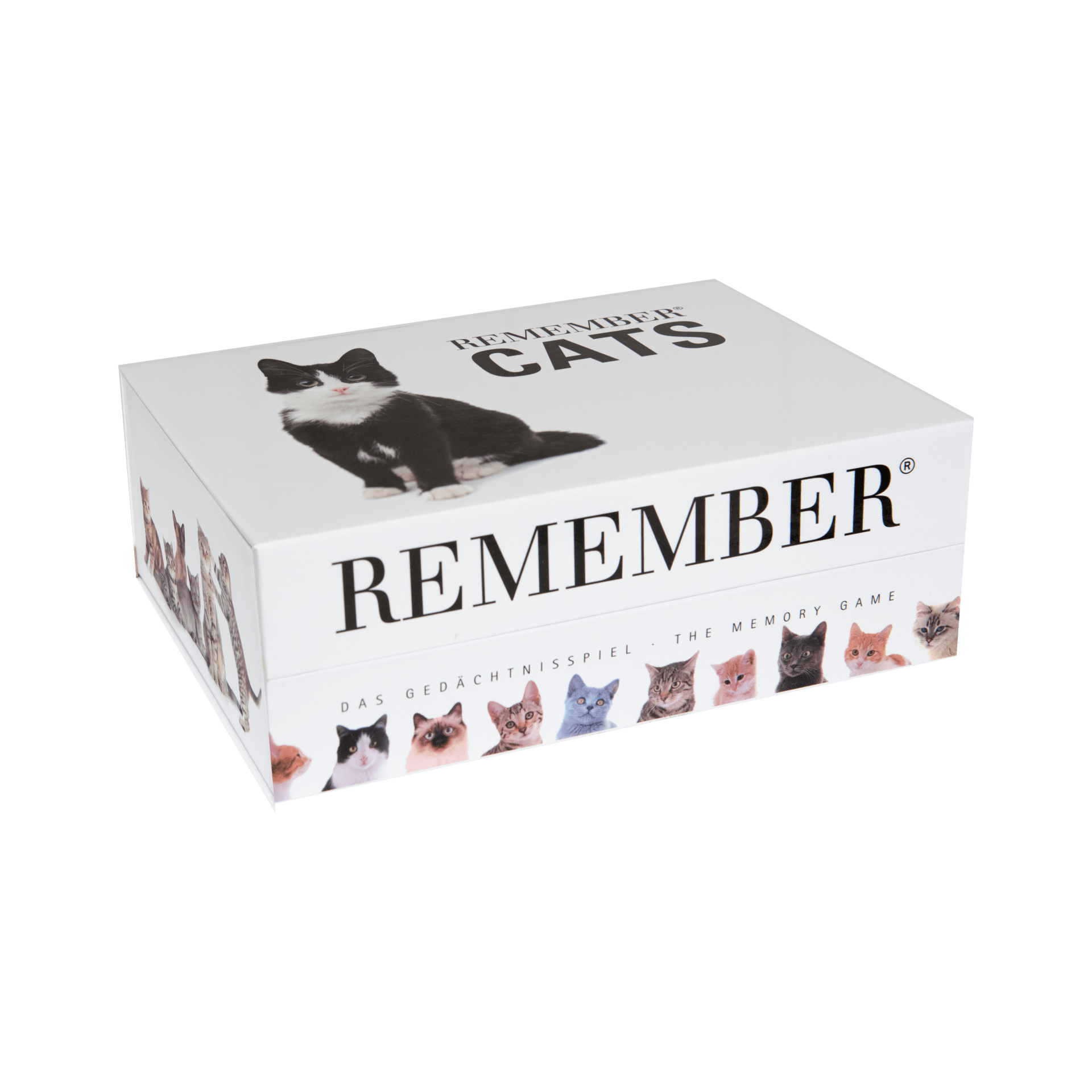Remember 44 Cats