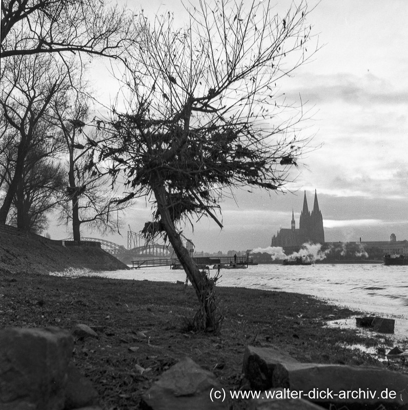 Herbstliche Impressionen 1952