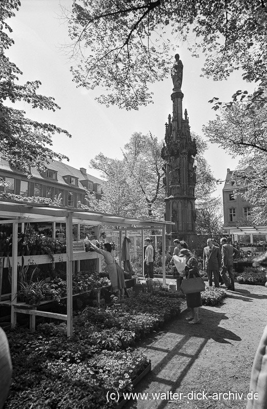 Pflanzenverkauf Blumenmarkt 1963