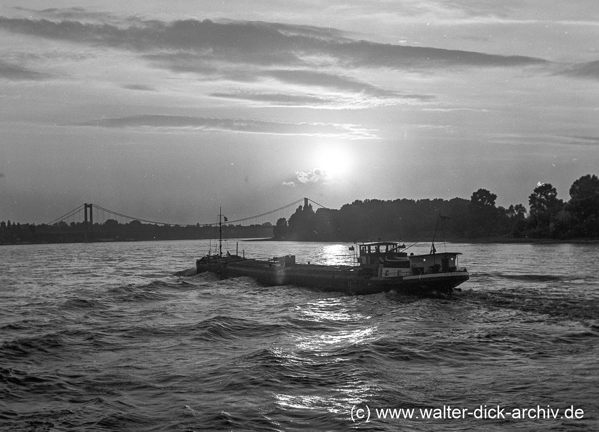 Abendstimmung vor der rodenkirchener Brücke 162