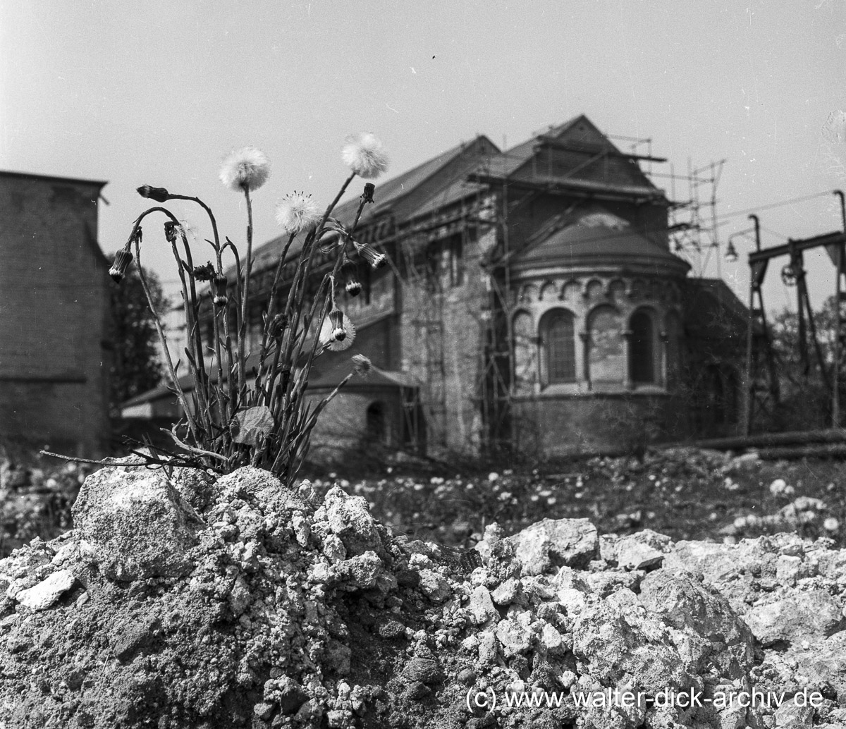 St. Cäcilien 1955