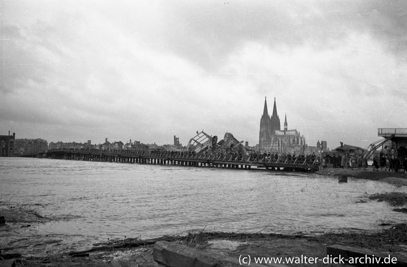 Behelfsbrücke über den Rhein in Köln