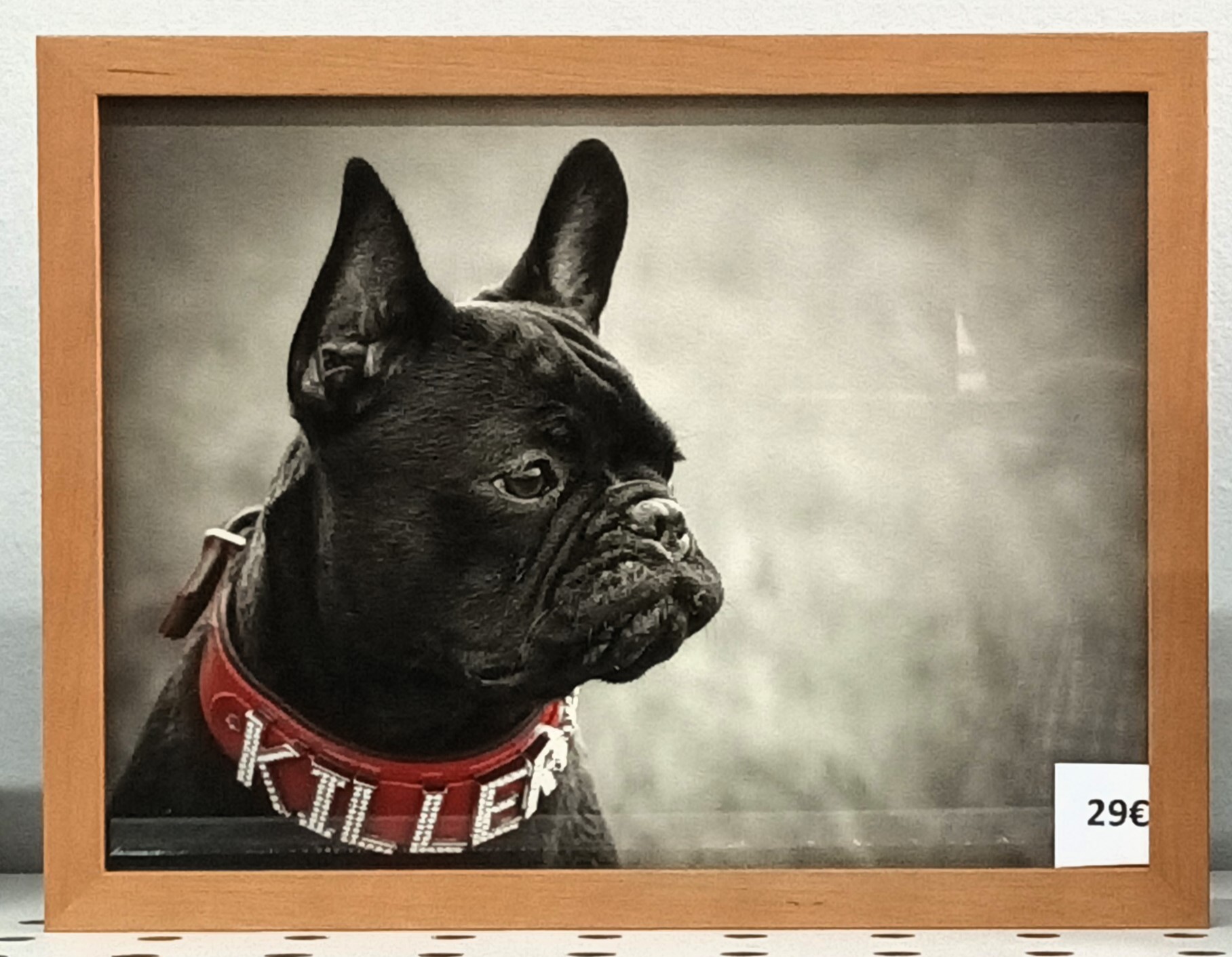 Frenchi Titel: "Killer" Fotografie fertig eingerahmt