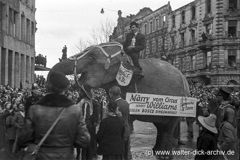 Karneval 1949 - Elefant Märry