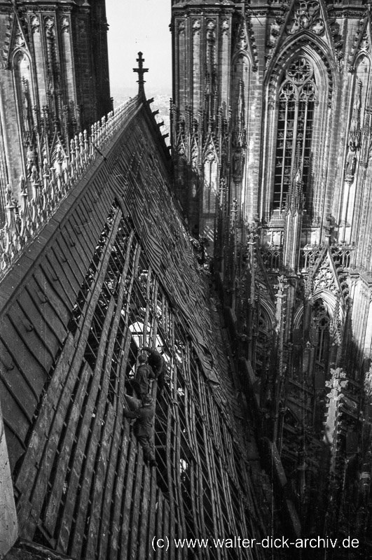 WDA019-005 Dachdecker am Dom 1946
