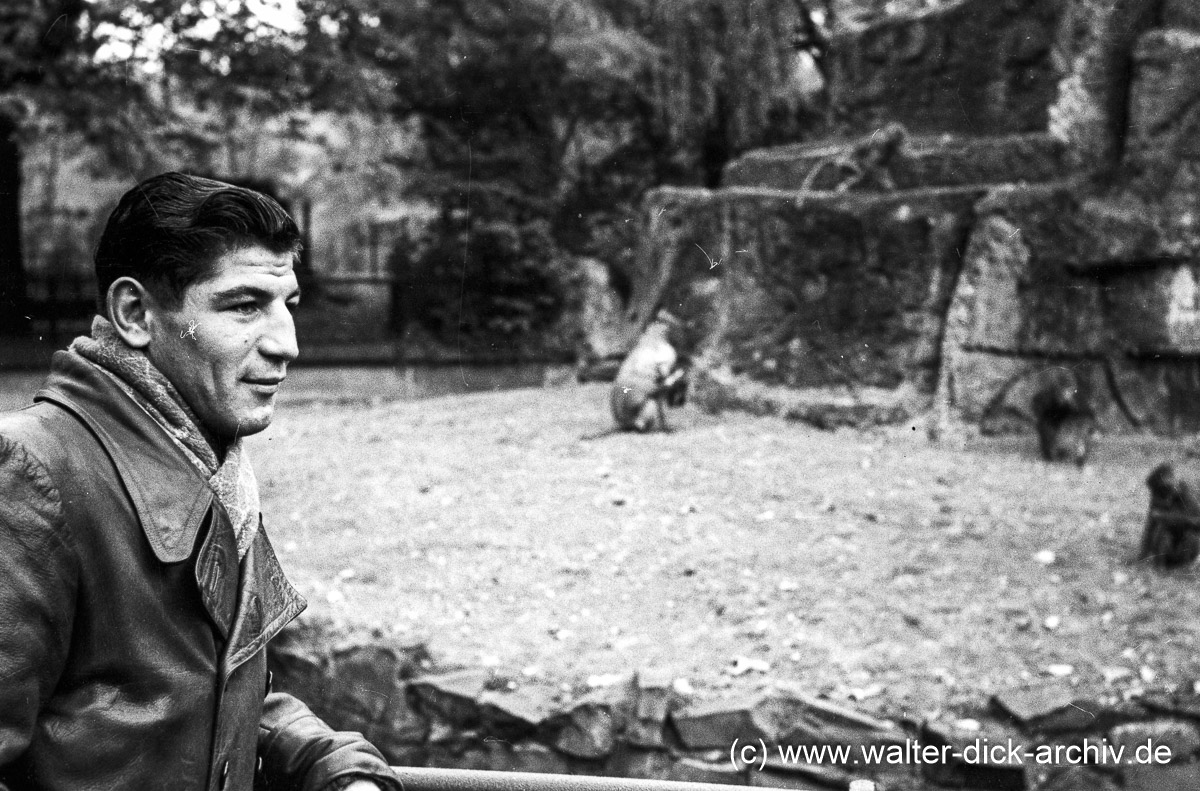 Besuch am Affenfelsen 1950