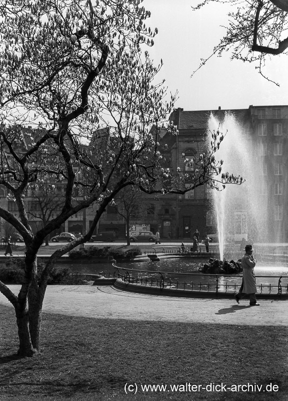 Frühling in Köln 1952