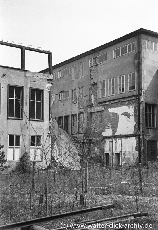 Kriegsschäden in der Universität