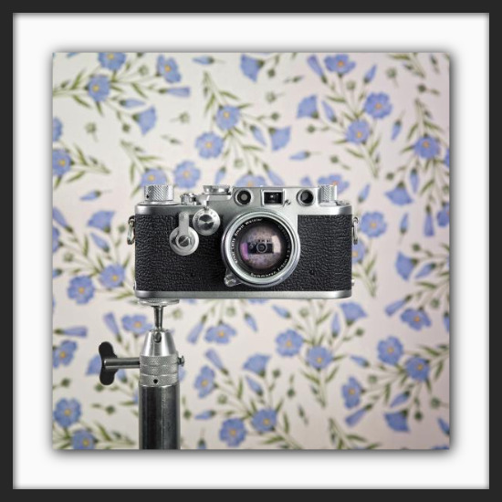 Cameraselfie Leica III