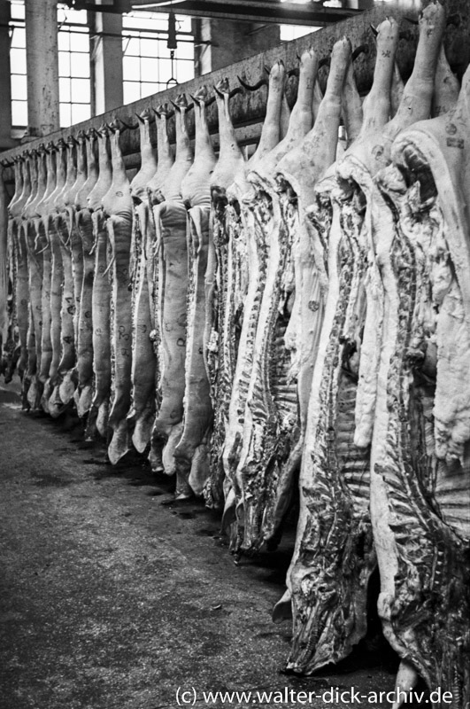 Schweinehälften im Kölner Schlachthof 1952