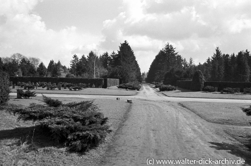 Eindrücke vom Kölner Südfriedhof 1954