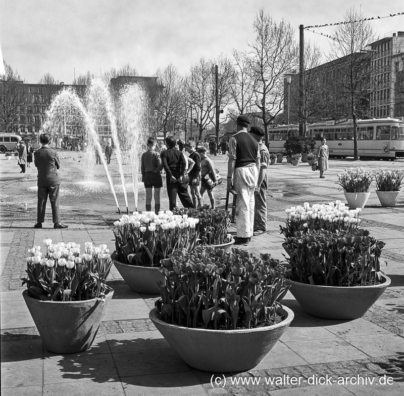 Er wird wiederkommen! - Brunnen auf dem Neumarkt 1965