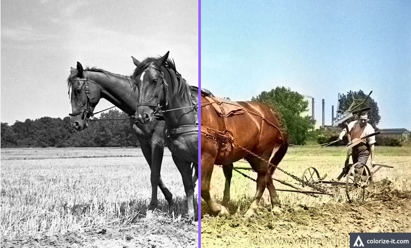 Fotos-automatisch-colorieren