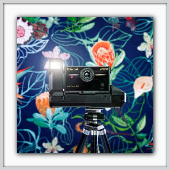 Cameraselfie Polaroid Vision