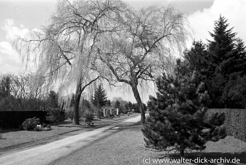 Eindrücke vom Kölner Südfriedhof 1954