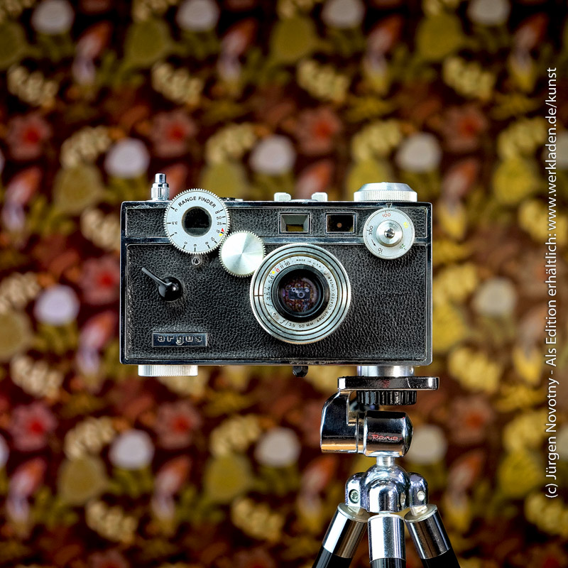 CS_argus-Cameraselfie-Novotny-Werkladen