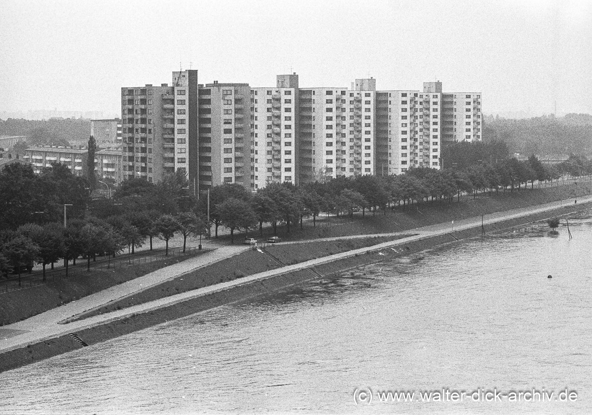 Am Niederländer Ufer 1966